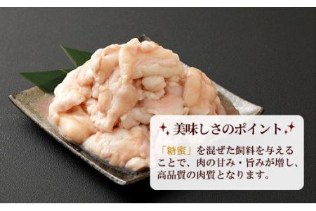 嘉穂牛 ホルモン 約800g ブランド牛