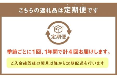 旬を感じるお野菜 定期便 年4回 季節 野菜セット
