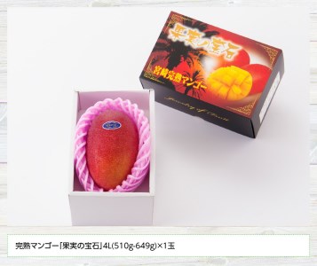 【令和8年発送】宮崎県産完熟マンゴー「果実の宝石」4L×1玉 マンゴー 果物
