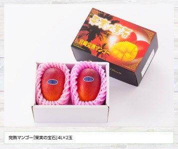 【令和8年発送】宮崎県産完熟マンゴー「果実の宝石」4L×2玉 果物 マンゴー