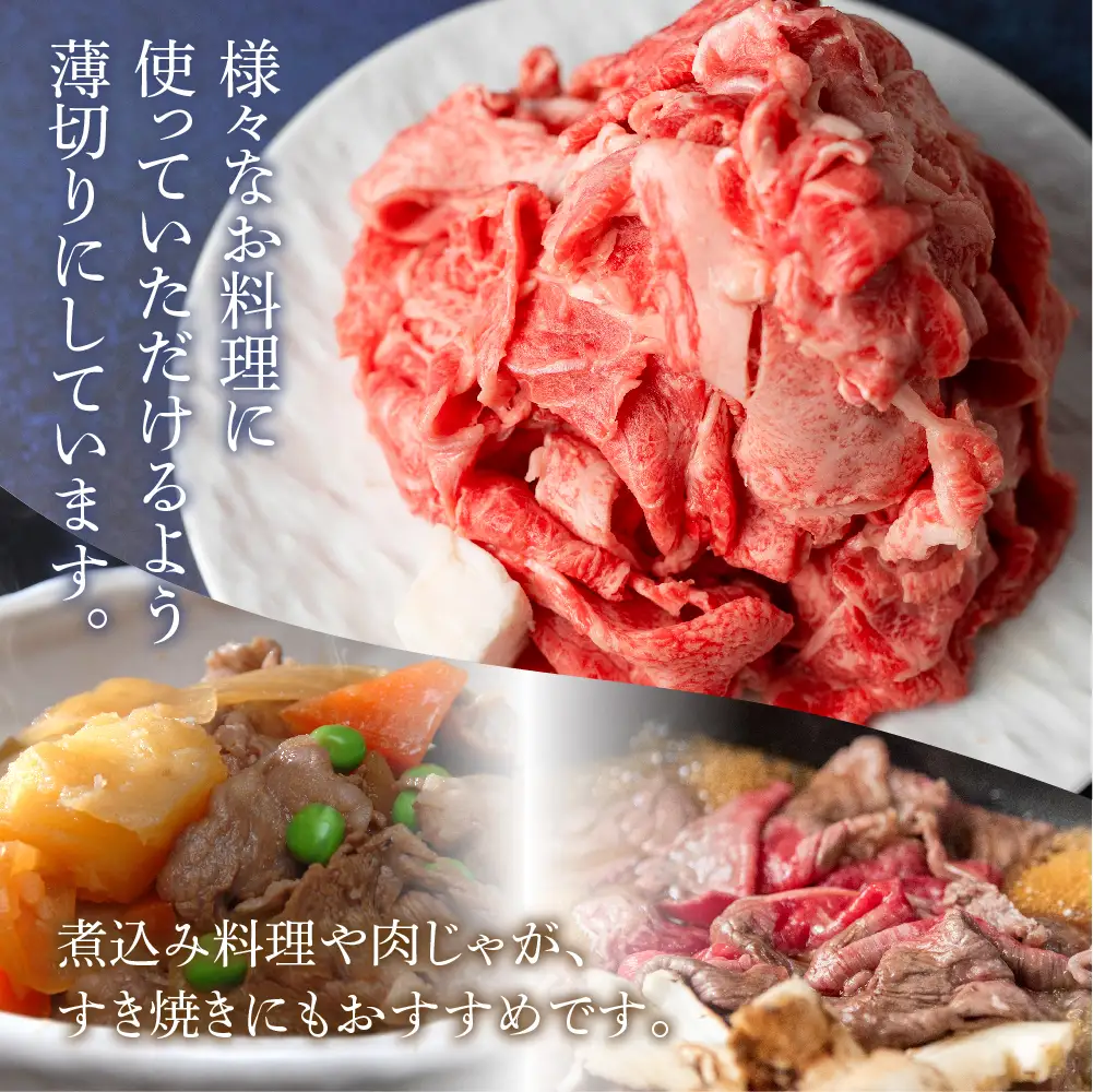 訳あり 飛騨牛切り落とし 500g |  牛肉 牛肉 BV032