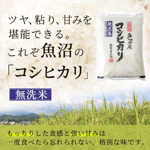 無洗米 コシヒカリ 6kg 米 白米 お米 魚沼産コシヒカリ 新潟米 新潟 魚沼市