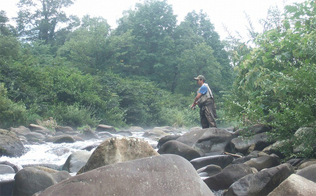 遊漁年券B渓流魚等 チケット 