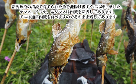 清流の川魚 セット 12尾入(ヤマメ・イワナ・ニジマス・アユ)魚12尾 ヤマメ イワナ ニジマス アユ 山女 岩魚 虹ます 虹鱒 鮎 マス ます 鱒