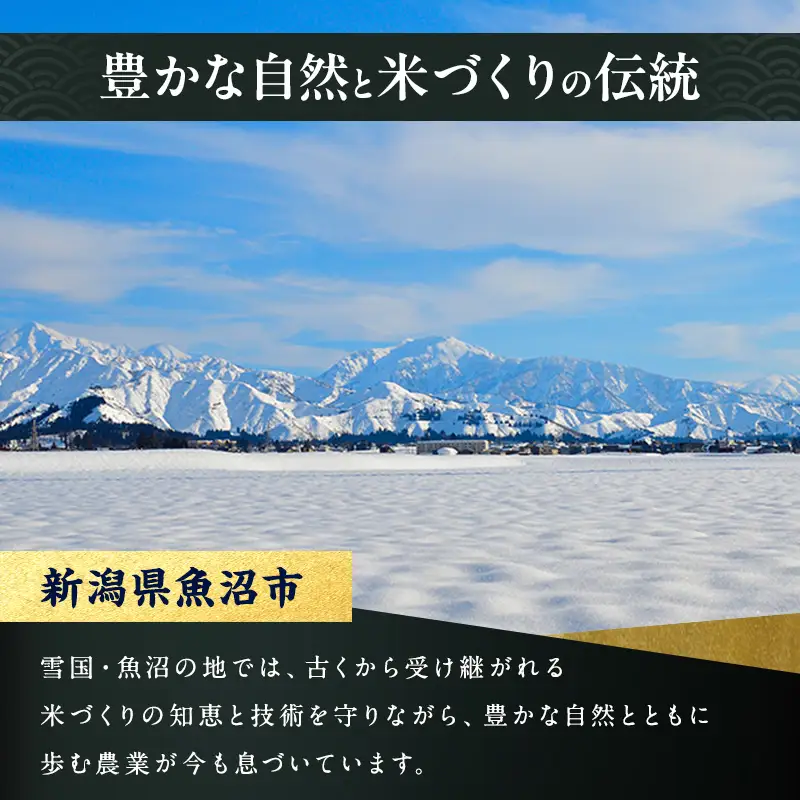 【特別栽培米】魚沼産コシヒカリ（精米）5kg