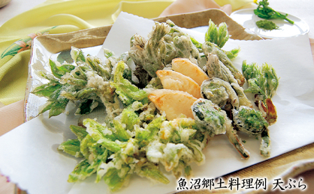 【本・魚沼郷土料理レシピ】魚沼の伝えたい味（A4 40ページカラー）1冊 