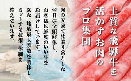 【定期便 6ヶ月】＜全6回＞飛騨牛 食べ比べ（ステーキ／焼肉／すき焼き／しゃぶしゃぶ）|  牛肉 定期便 肉の匠家 BV104