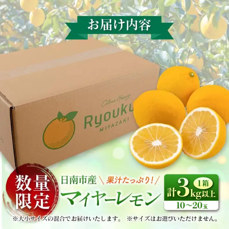 マイヤーレモン 計3kg以上 希少 国産レモン 果物 くだもの フルーツ 檸檬 柑橘 期間限定 数量限定_AV3-25