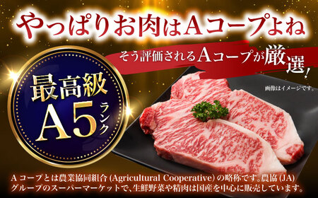 長崎和牛 サーロインステーキ 計440g（約220g×2枚）/ ステーキ すてーき サーロインステーキ サーロイン さーろいん さーろいんすてーき 牛肉 ぎゅうにく 肉 にく国産牛 和牛 / 諫早市 / 長崎県央農業協同組合　Aコープ本部  [AHAA004]