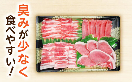 ながさき健王豚セット / 豚肉 健王豚 豚バラ バラ 豚ロース ロース / 諫早市 / 長崎県央農業協同組合　Aコープ本部 [AHAA001]