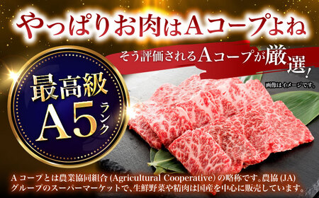 長崎和牛ロース焼肉用 約550g / 牛肉 ロース ろーす 牛ロース 長崎和牛 焼肉 焼き肉 やきにく / 諫早市 / 長崎県央農業協同組合　Aコープ本部  [AHAA006]