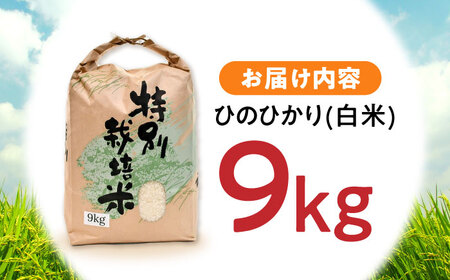 【R7年産】九州のこだわり「ひのひかり」白米 9kg / 米 こめ コメ お米 おこめ 白米 精米 白ご飯 ヒノヒカリ 長崎県産 / 諫早市 / 上島農産 [AHAS003]