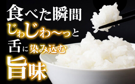 【R7年産】循環農法米 にこまる 白米 5kg / お米 おこめ コメ 精米 白米 / 諫早市 / 株式会社土井農場 [AHAD049]