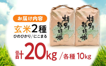 【R7年産】九州のこだわり玄米 食べ比べ (10kg×2) / にこまる ひのひかり 食べ比べ 玄米 げんまい 米 こめ コメ / 諫早市 / 上島農産 [AHAS006]