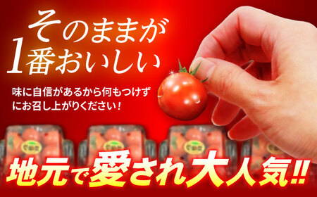 愛果菜ミニトマト9P×2セット / ミニトマト プチトマト トマト とまと 野菜 / 諫早市 / 愛菜ファーム株式会社  [AHAK002]