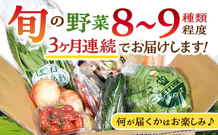 野菜 3回定期便 諫早産野菜の詰め合わせ8〜9品目程度 [AHDI001]