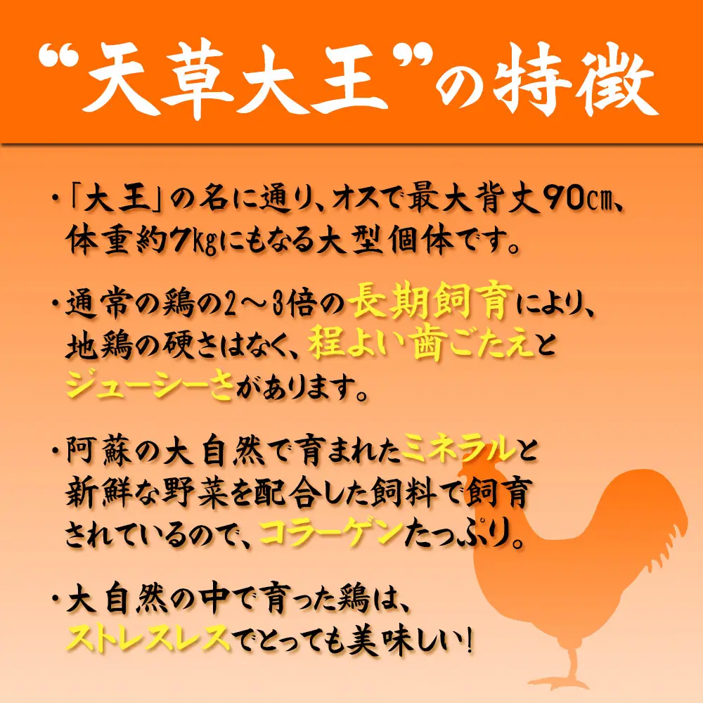 希少！くまもと地鶏　天草大王　もも肉　1kg