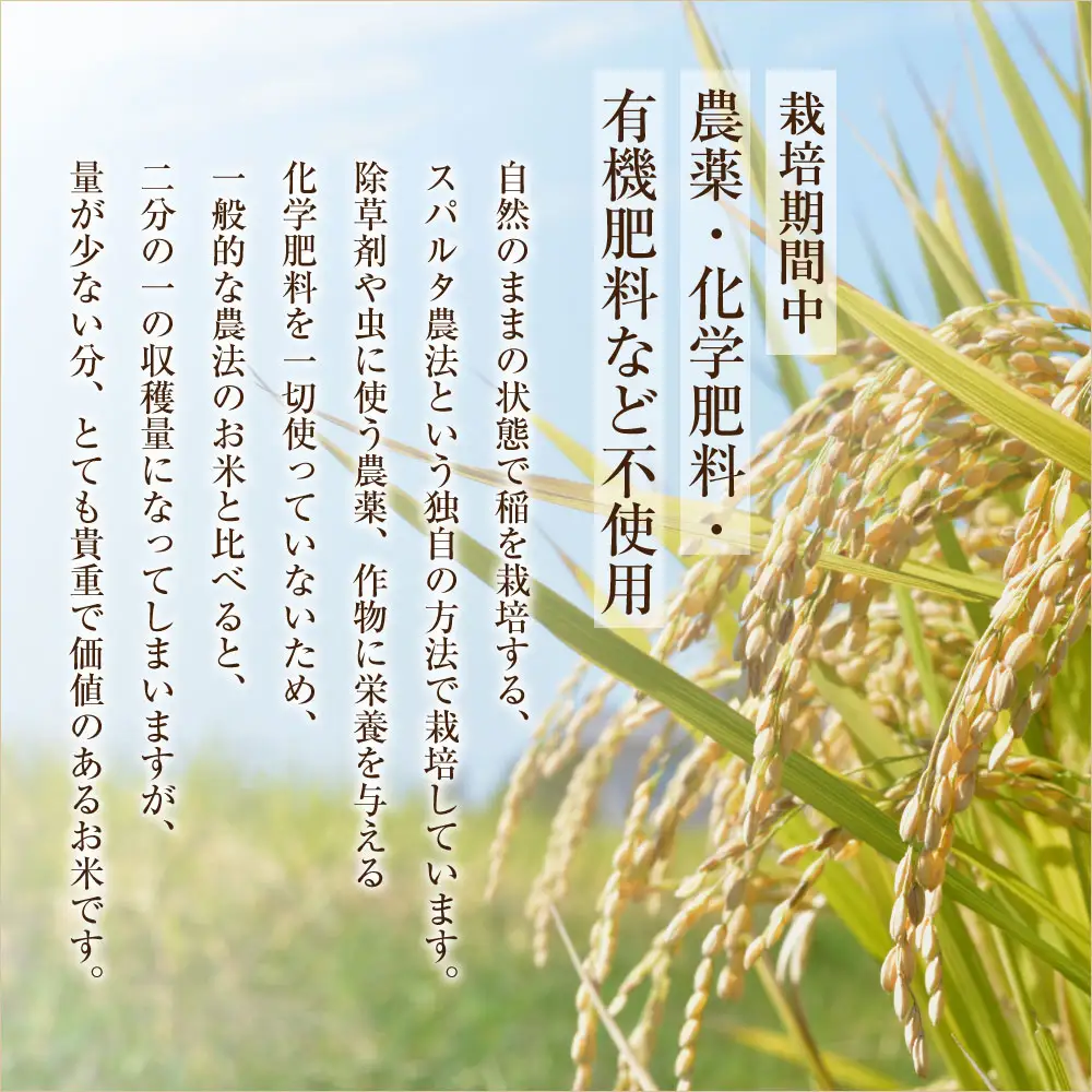 極美純米（ぴかまる）＋黄金純米（ミルキークイーン）セット（2kg×2）