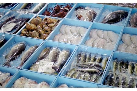 うすき豊後水道物語　豊後水道うすき地魚詰め合わせＢ