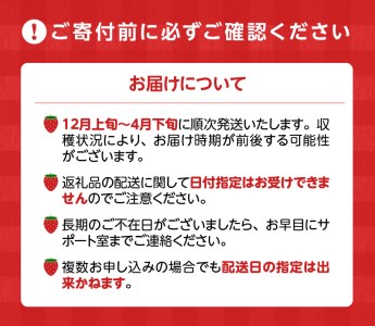 旬ないちごとおまかせ野菜詰合せ7品目セット_旬 いちご 250g おまかせ 野菜 詰合せ セット 食べ頃 6品目 玉ねぎ 人参 大根 カブ サニーレタス なす キュウリ トウモロコシ ヤングコーン ケール 赤水菜 パクチー ピーマン 赤大根 サトイモ さつまいも 新鮮 食品 お取り寄せ 福岡県 久留米市 送料無料 〔Gv021〕