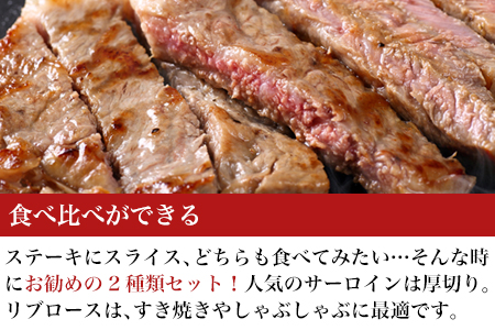 厳選佐賀牛 サーロインステーキ180g リブローススライス300g 2種(合計480g)セット