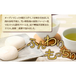 【日本一獲得！】グランプリ受賞！西山金時スウィートポテトロール＆すうぃ～と芋大福【Ｂ】