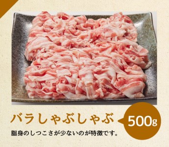 宮崎県産豚肉バラエティ4種2.5kg 豚肉