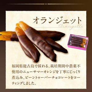 ボンボンショコラ10ヶ入とオランジェットのセット_ボンボンショコラ 10ヶ入 オランジェット セット チョコレート 厳選 素材 10種類 能古島産 ニューサマーオレンジ ガナッシュ いちご ワイン ライム 八女茶 スパイス ナッツ チャイ ハチミツ コーヒー 柑橘 お菓子 お取り寄せ 福岡県 久留米市 送料無料 〔Dw019〕