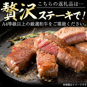 高千穂牛 サーロインステーキ(250g×2枚)【MT013】【JAみやざき 高千穂牛ミートセンター】