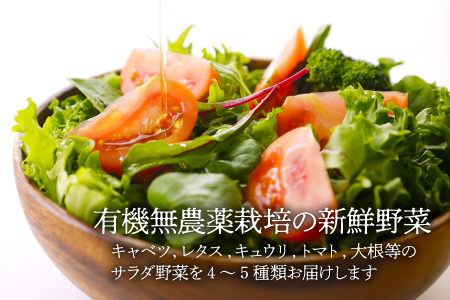 【全12回定期便】旬野菜×手作りカレーセット  /ヒロファミリーフーズ[AGBX027] カレー 定期便