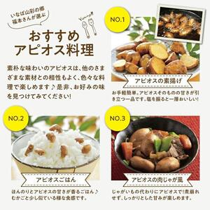 世界三大健康野菜 アピオス 1キロ