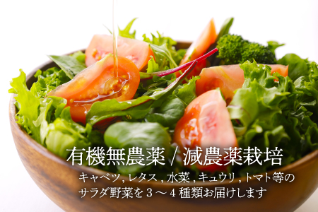 サラダ野菜×ミートソース（135g×5袋） /ヒロファミリーフーズ[AGBX034]サラダ野菜