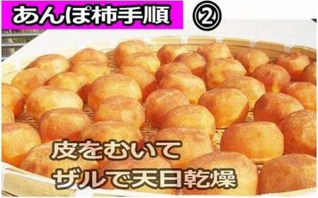 柿 生渋柿（平たねなし柿）あんぽ柿用 T軸枝無  約4.5～5kg 約24～30個 AP【art003B】