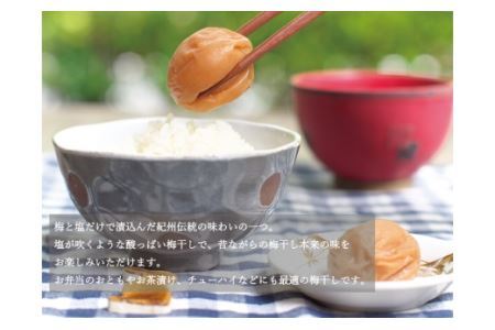梅干し 食べ比べセット 500g×2（はちみつ・白干）【inm900-6C】