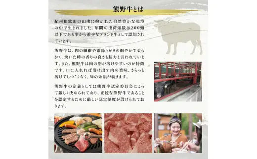 サーロインステーキ 約200g×3枚 ＜冷蔵＞ ステーキ 焼肉 サーロイン【sim112A】