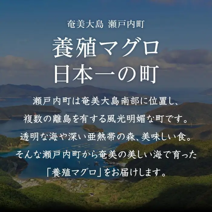 奄美大島産養殖クロマグロ 2柵セット 400g以上 中トロ 赤身 冷凍 | 黒マグロ