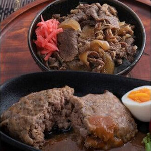 とりちく牛丼の素・鳥取ビーフハンバーグ詰め合わせ