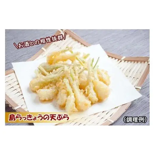 島らっきょう（500g）AZ106