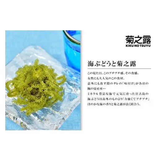 菊之露　一升瓶　30度