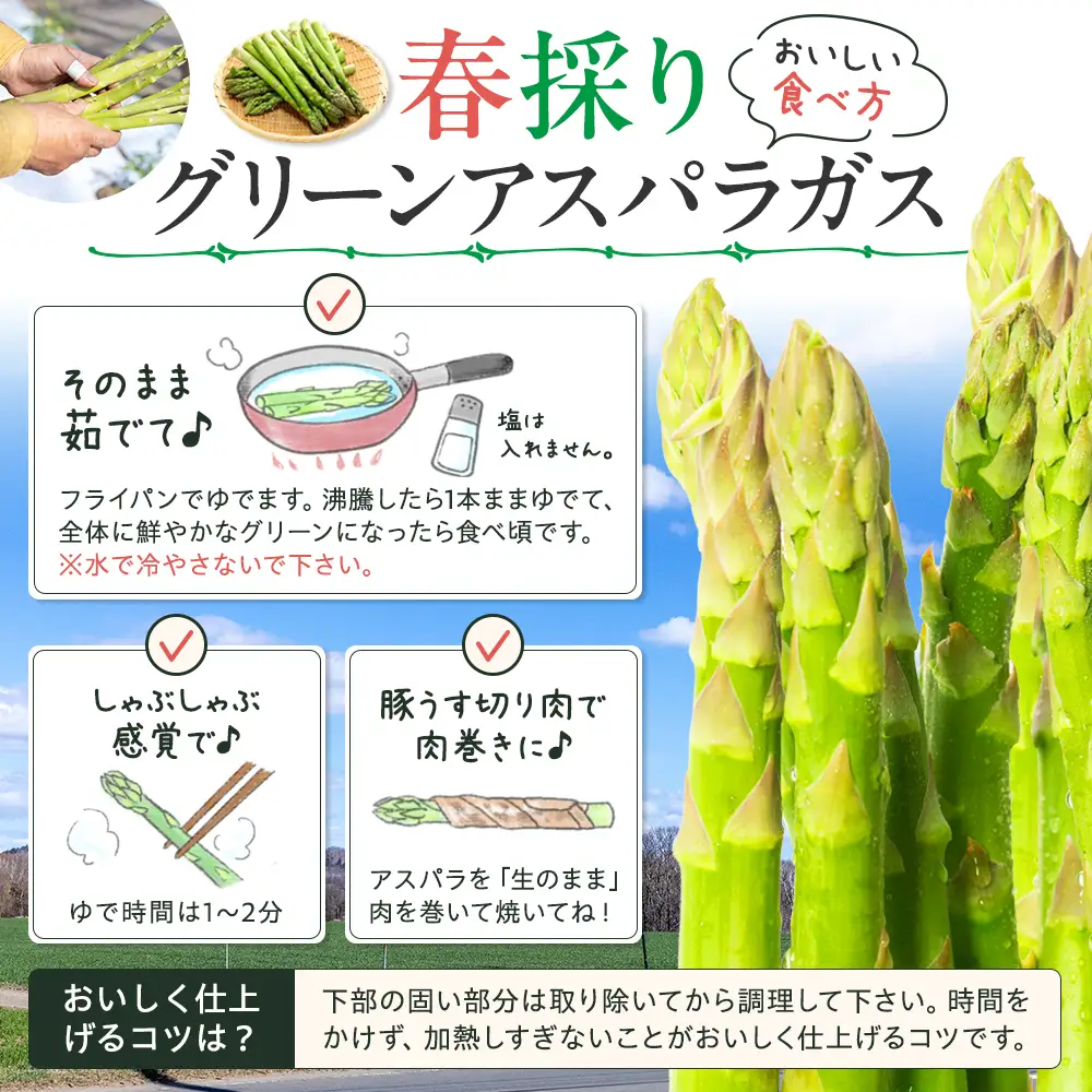 【先行受付】R8年産 アスパラガス 1kg 山内農園 | グリーンアスパラ グリーンアスパラガス アスパラ 大容量 野菜 春野菜 朝採れ 新鮮 極太 国産 サラダ 天ぷら 炒め物 家庭用 数量限定 旬 特産 産地直送 北海道 津別町 送料無料
