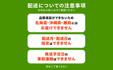 三豊市産 人気の厳選フルーツ定期便(年3回)