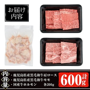 鹿児島県産 黒毛和牛 焼き肉セット (ロース モモ 国産牛ホルモン 各200g 計600g) 【ナンチク】A6-v01