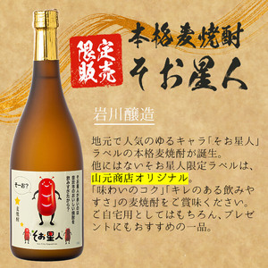 ＜2週間以内発送！＞【芋・麦焼酎セット】鹿児島 曽於市 本格焼酎 飲み比べ そお星人 芋焼酎 麦焼酎 セット 岩川醸造(720ml×4本)【山元商店】A58-v01
