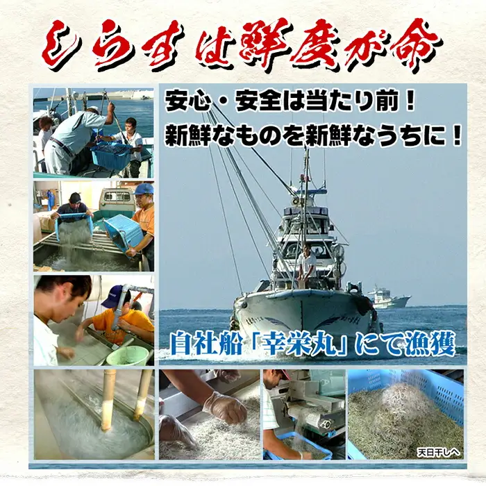 天日干し ちりめん 約400g 小分け ちりめん【00-007-01】