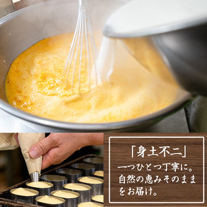 ひとくちチーズケーキの決定版！ 半生チーズケーキ20個（10個×2箱）【00-014-02】