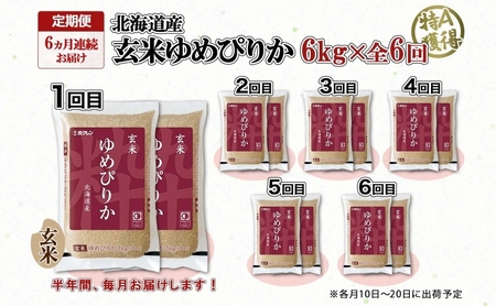 定期便 6ヵ月連続6回 北海道産 ゆめぴりか 玄米 3kg×2袋 計6kg 小分け 米 特A 国産 ごはん グルメ 食物繊維 ヘルシー お取り寄せ 備蓄 長期保存 プレゼント 贈答 ギフト ようてい農業協同組合 ホクレン 送料無料 北海道 倶知安町 6ヶ月 