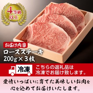 鹿児島県産 黒毛和牛 曽於さくら牛 ロース ステーキ (200g × 3枚)【福永産業】B9-v01