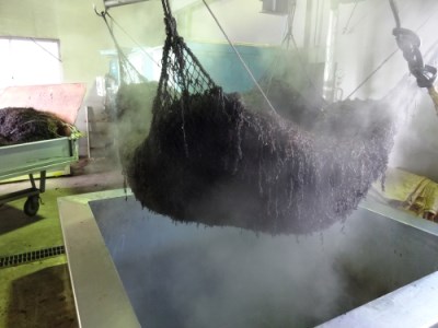 【ひじき】国産ひじき ふりかけセット 3種 計3袋