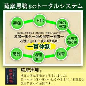 薩摩 黒鴨 鍋 セット B 計600g(150g×4)！ 鴨肉【日本有機】B23-v01