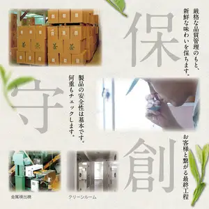 【お茶の光玉園】八女煎茶 100g×5本セット お茶 煎茶 緑茶 茶葉 八女茶 ギフト プレゼント 手土産 贈答用 福岡県 八女市 049-005